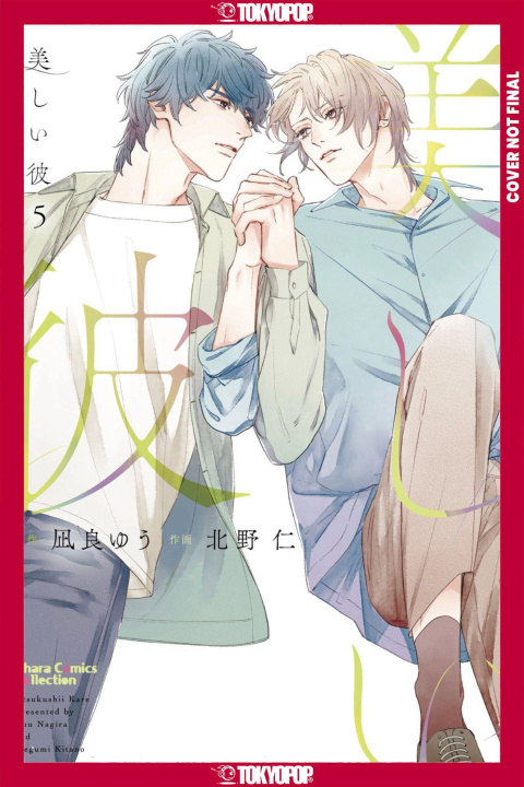 Buch My Beautiful Man, Volume 5 (Manga) Megumi Kitano