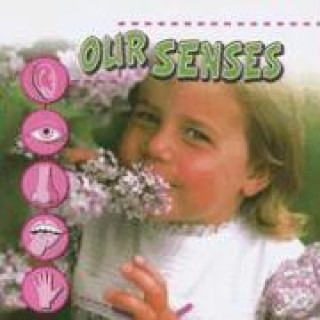 Kniha Our Senses Susan Thames