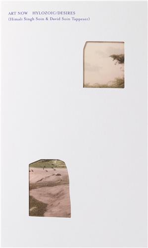 Kniha Art Now: Hylozoic/Desires Dominique Heyse-Moore