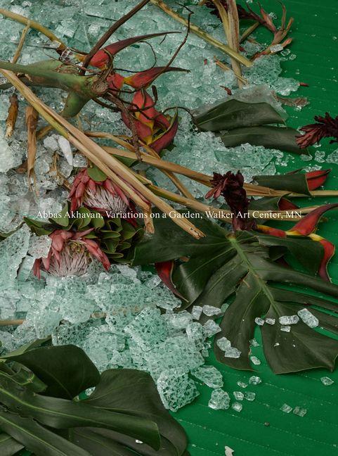 Kniha Abbas Akhavan: Variations on a Garden 
