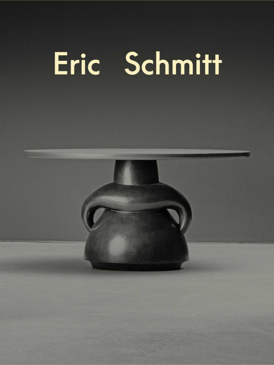 Kniha Eric Schmitt Axelle Corty