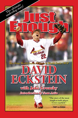 Buch Just Enough ECKSTEIN DAVID