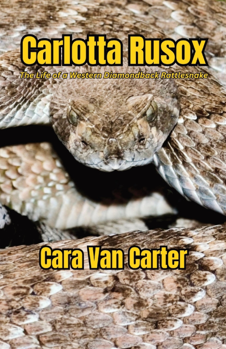 Kniha Carlotta Rusox Cara Van Carter