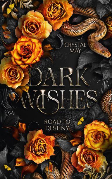 Kniha Dark Wishes 