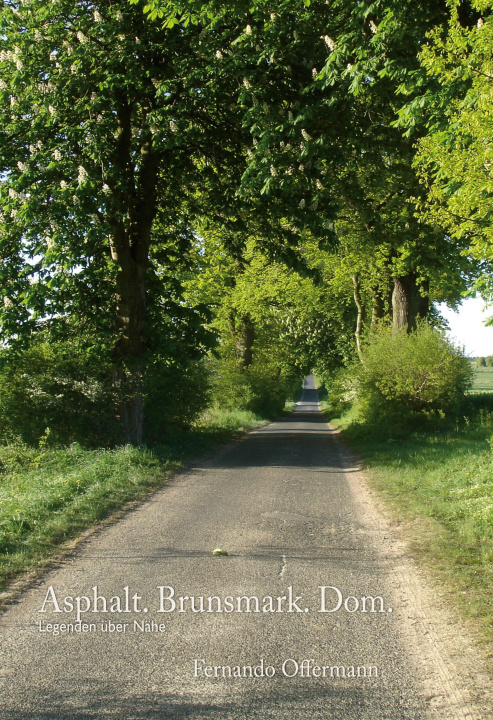Kniha Asphalt. Brunsmark. Dom. 