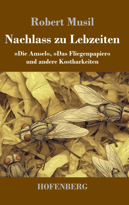 Kniha Nachlass zu Lebzeiten Robert Musil