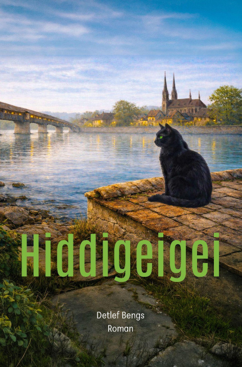 Kniha Hiddigeigei Liliane Ritzi