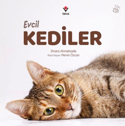 Kniha Evcil Kediler 