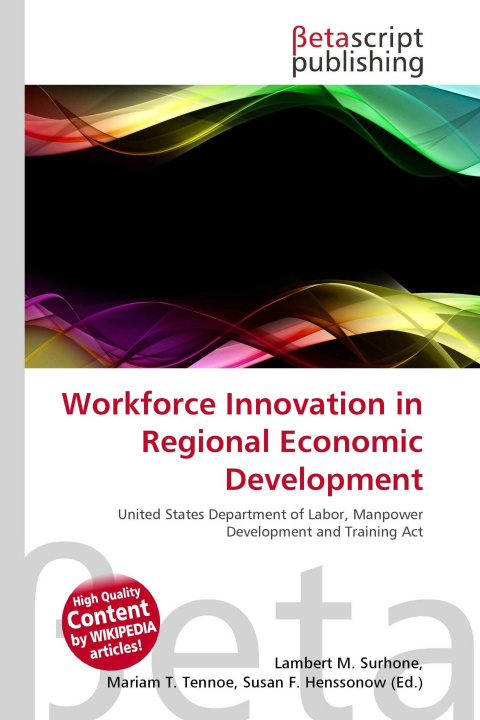 Kniha Workforce Innovation in Regional Economic Development Mariam T. Tennoe