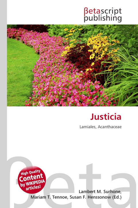 Kniha Justicia Mariam T. Tennoe