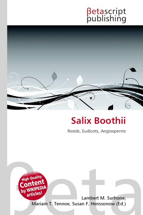 Kniha Salix Boothii Mariam T. Tennoe