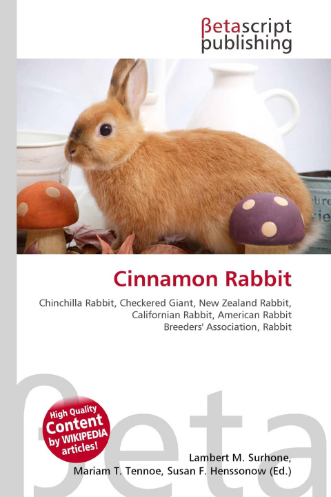 Kniha Cinnamon Rabbit Mariam T. Tennoe