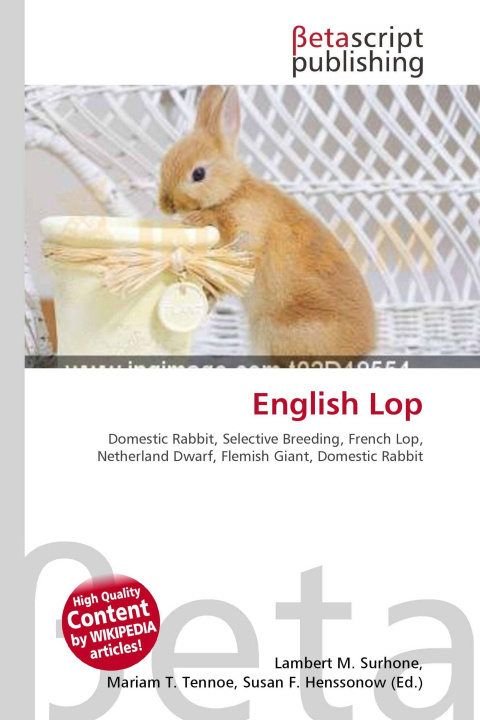Kniha English Lop Mariam T. Tennoe