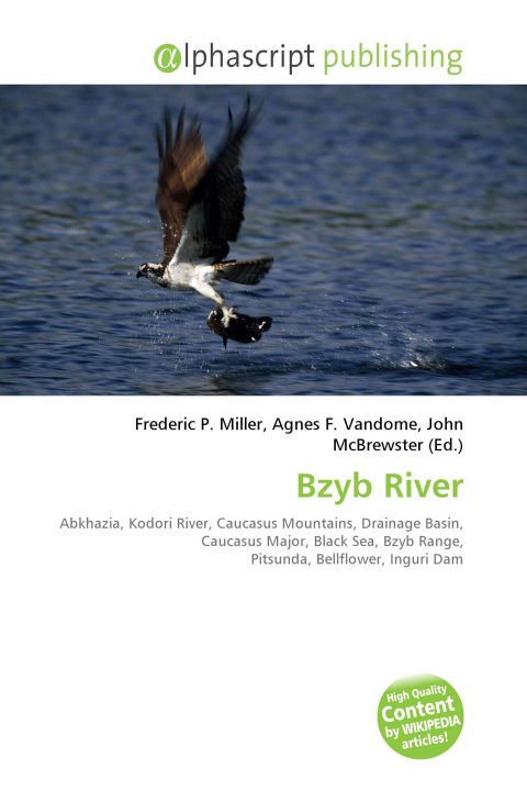 Kniha Bzyb River Agnes F. Vandome