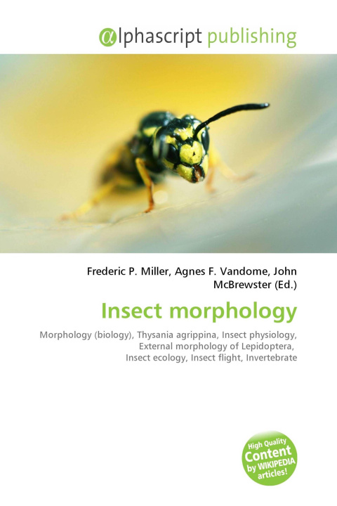 Kniha Insect morphology Agnes F. Vandome