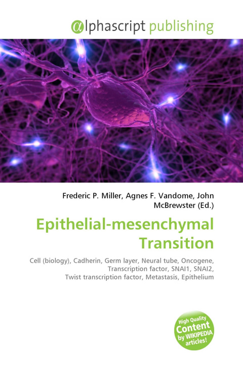 Kniha Epithelial-mesenchymal Transition Agnes F. Vandome