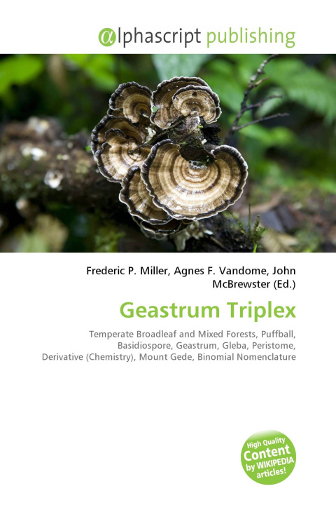 Kniha Geastrum Triplex Agnes F. Vandome