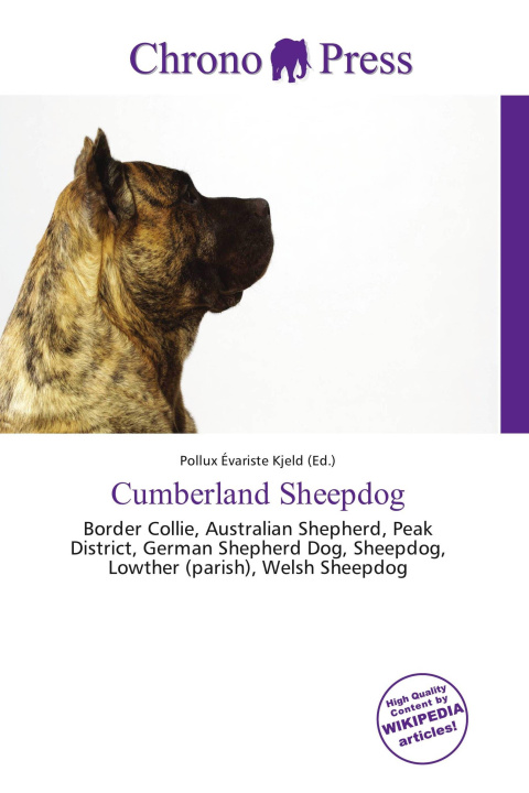 Book Cumberland Sheepdog 