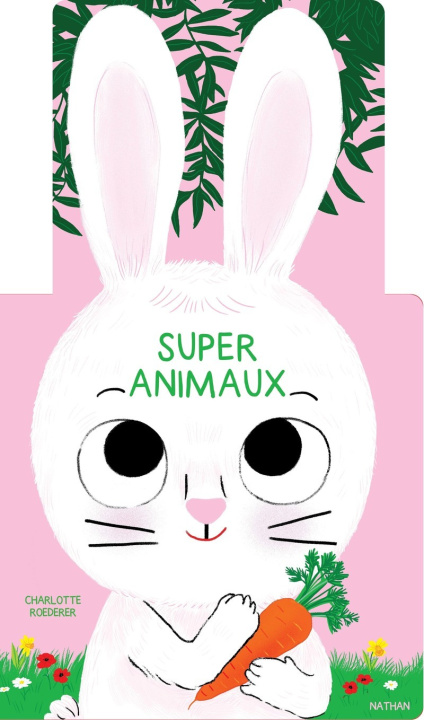 Kniha Super animaux 