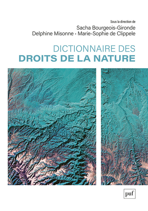 Knjiga Dictionnaire des droits de la nature Bourgeois-Gironde