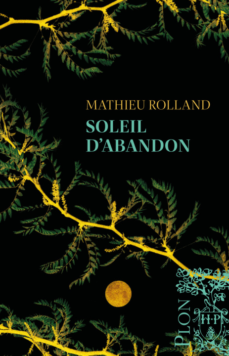 Kniha Soleil d'abandon Mathieu Rolland