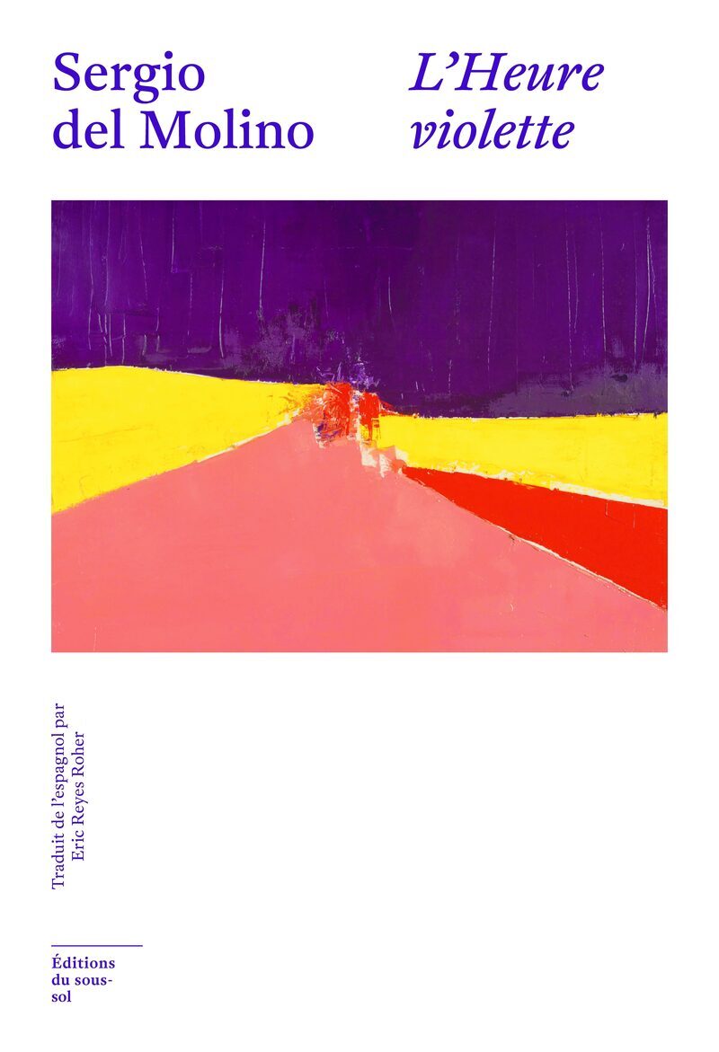 Buch L'heure violette Sergio Del Molino
