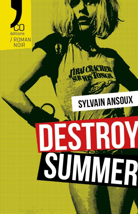 Kniha Destroy Summer Ansoux