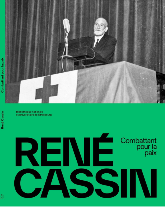 Book René Cassin Schweitzer
