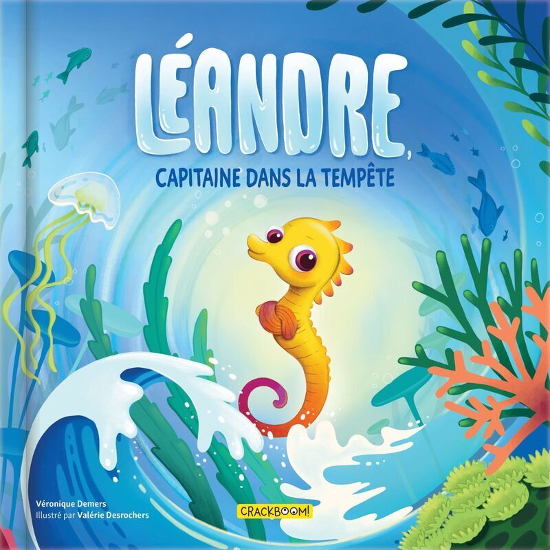 Book Léandre, capitaine dans la tempête Véronique Demers