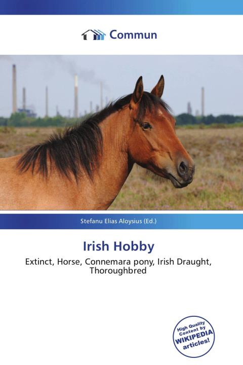 Kniha Irish Hobby 
