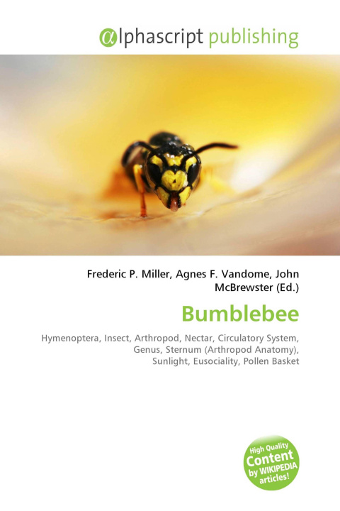 Kniha Bumblebee Agnes F. Vandome