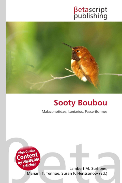 Kniha Sooty Boubou Mariam T. Tennoe