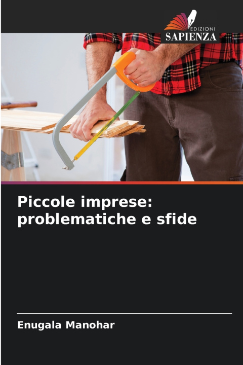 Kniha Piccole imprese: problematiche e sfide Enugala Manohar