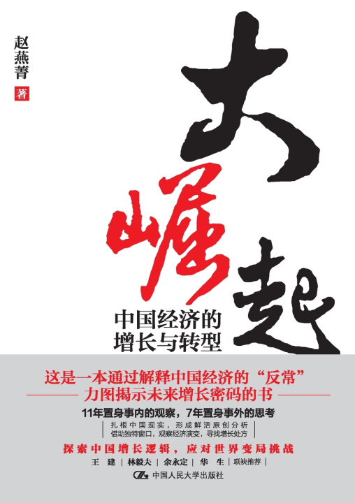 Knjiga The Great Rise 赵燕菁