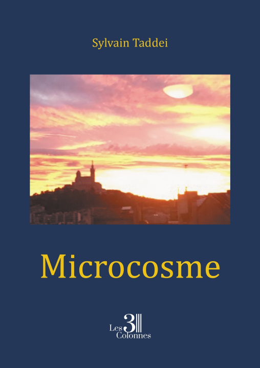 Book Microcosme Sylvain TADDEI