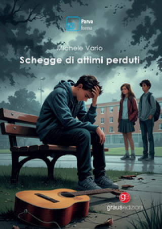 Knjiga Schegge di attimi perduti Michele Vario
