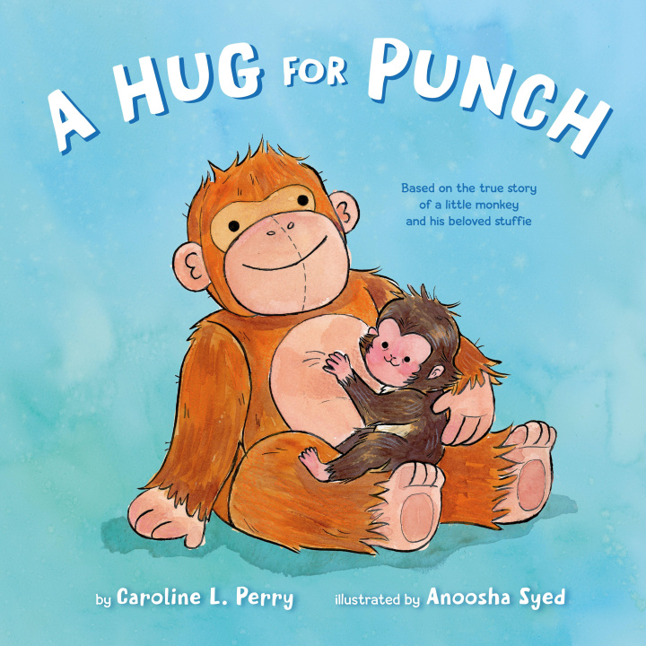 Book A Hug for Punch Anoosha Syed