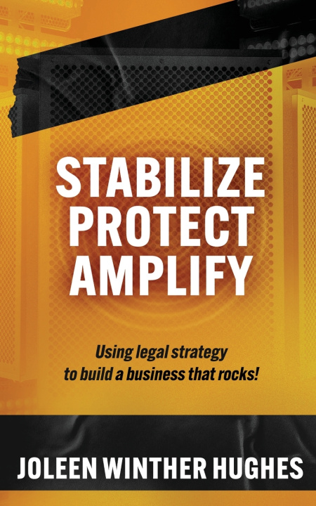 Kniha STABILIZE PROTECT AMPLIFY Joleen Winther Hughes