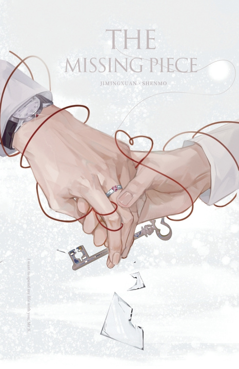Book The Missing Piece Via Lactea