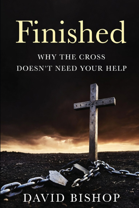 Kniha Finished David Bishop