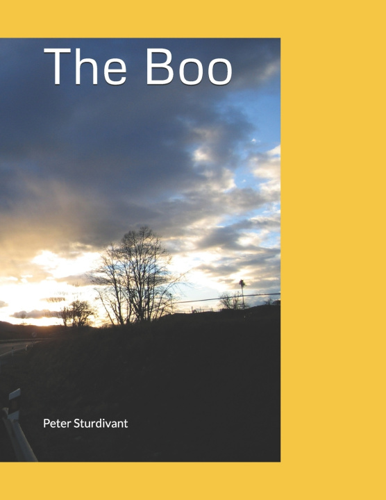 Knjiga The Boo Peter Sturdivant