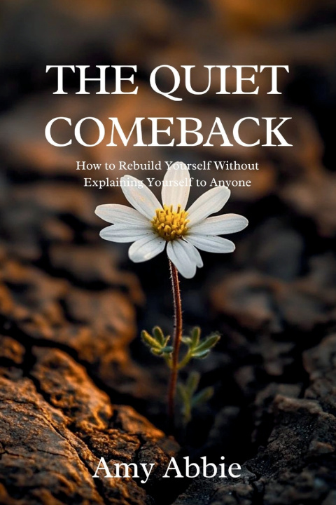 Book THE QUIET COMEBACK Amy Abbie