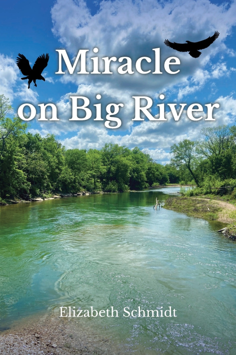 Knjiga Miracle on Big River Elizabeth Schmidt