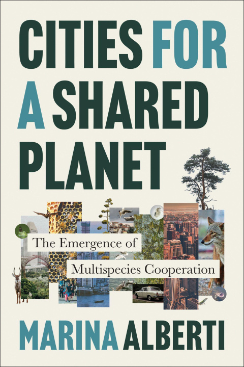 Kniha CITIES FOR A SHARED PLANET ALBERTI MARINA