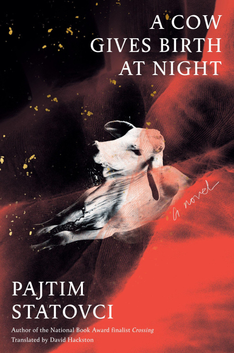Livro COW GIVES BIRTH AT NIGHT STATOVCI PAJTIM