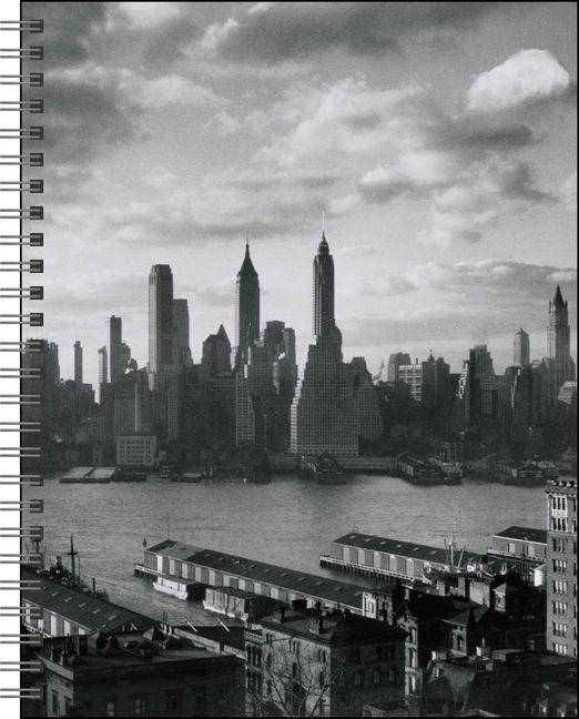 Koledar/Rokovnik CAL 27 NEW YORK IN ART 12M ENGMT ENGMT