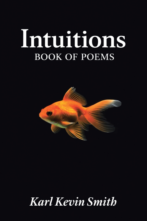 Book Intuitions Karl Kevin Smith