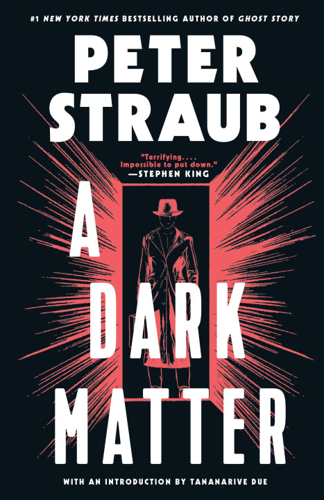 Knjiga DARK MATTER STRAUB PETER
