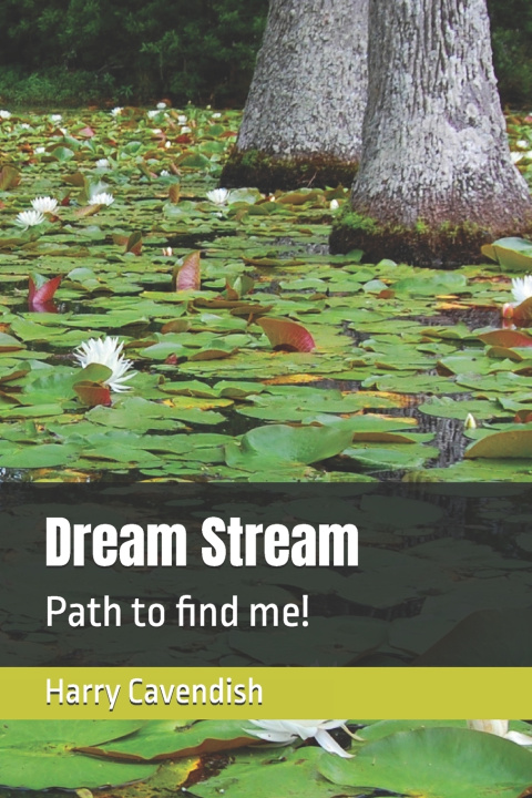 Book Dream Stream Harry Cavendish