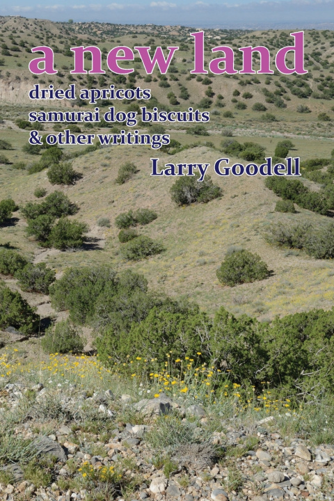 Buch A New Land Larry Goodell